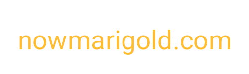 Now Marigold Logo